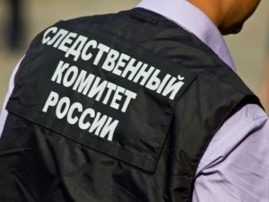 Главе ведомства будет представлен доклад о расследовании уголовного дела по сообщению о применении насилия в отношении малолетнего в Московской области