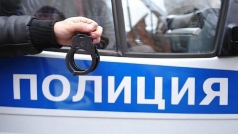 Полицейские в Балашие задержали подозреваемую в краже мобильного телефона